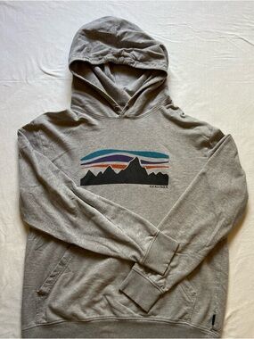 Gray Patagonia Mountain Graphic Hooded Sweatshirt